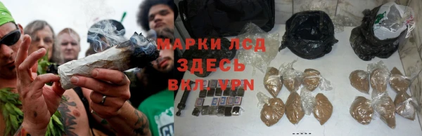 СК Арсеньев