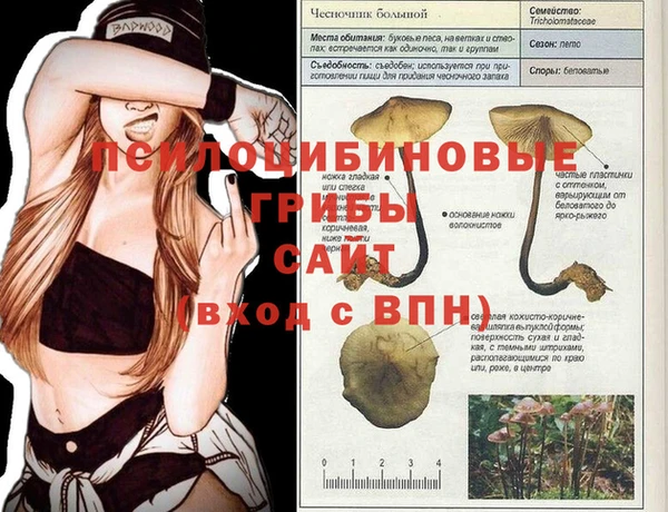 экстази Аркадак