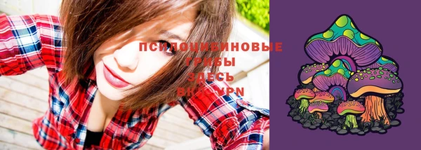 эйфоретик Россошь