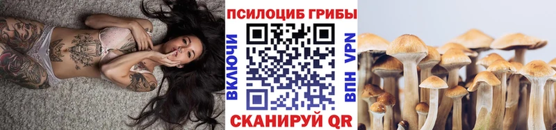 Галлюциногенные грибы Psilocybine cubensis  Сергач 
